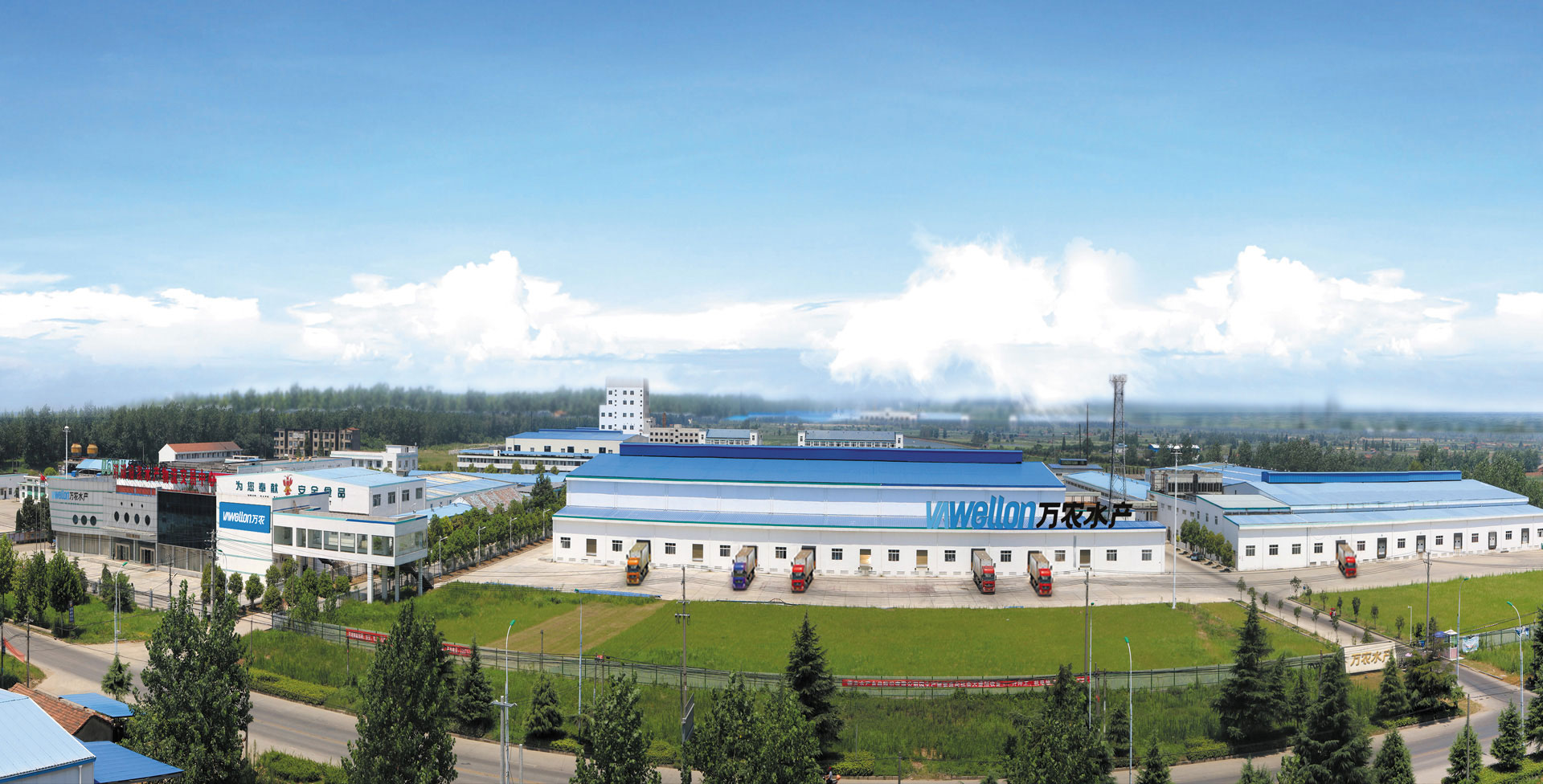 BB贝博betball官网登录