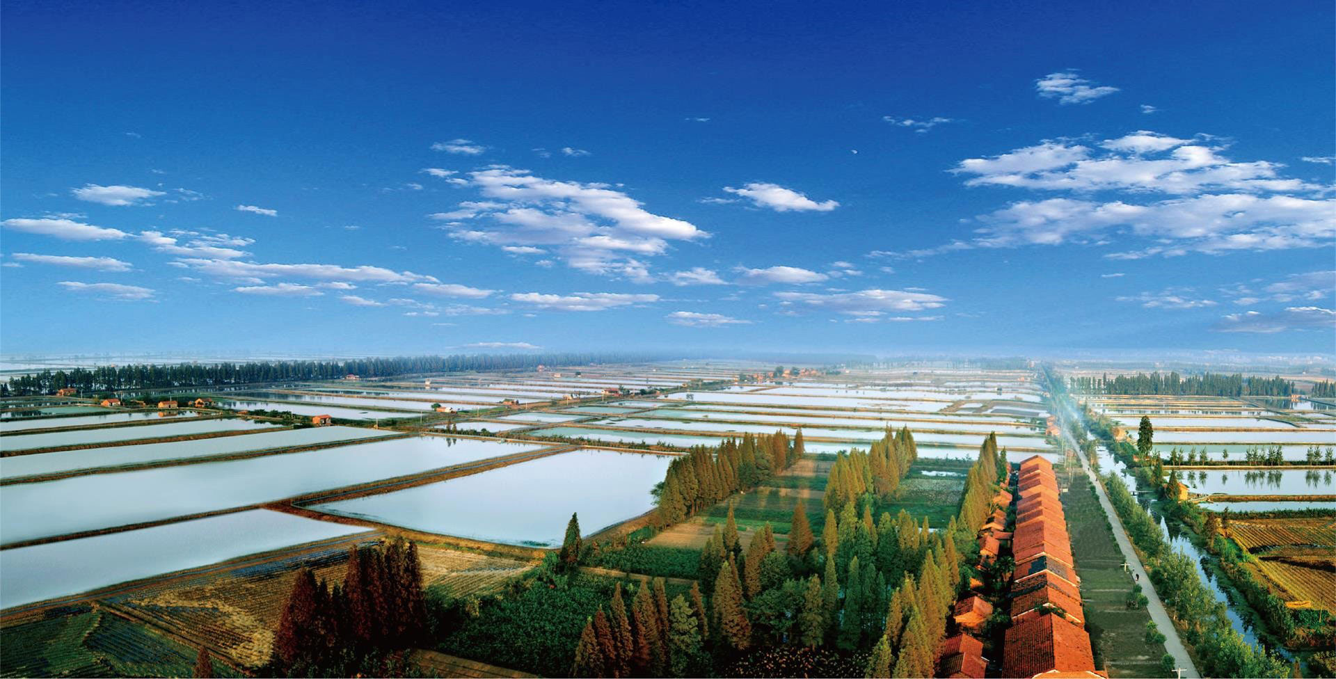 贝博app体育下载艾弗森