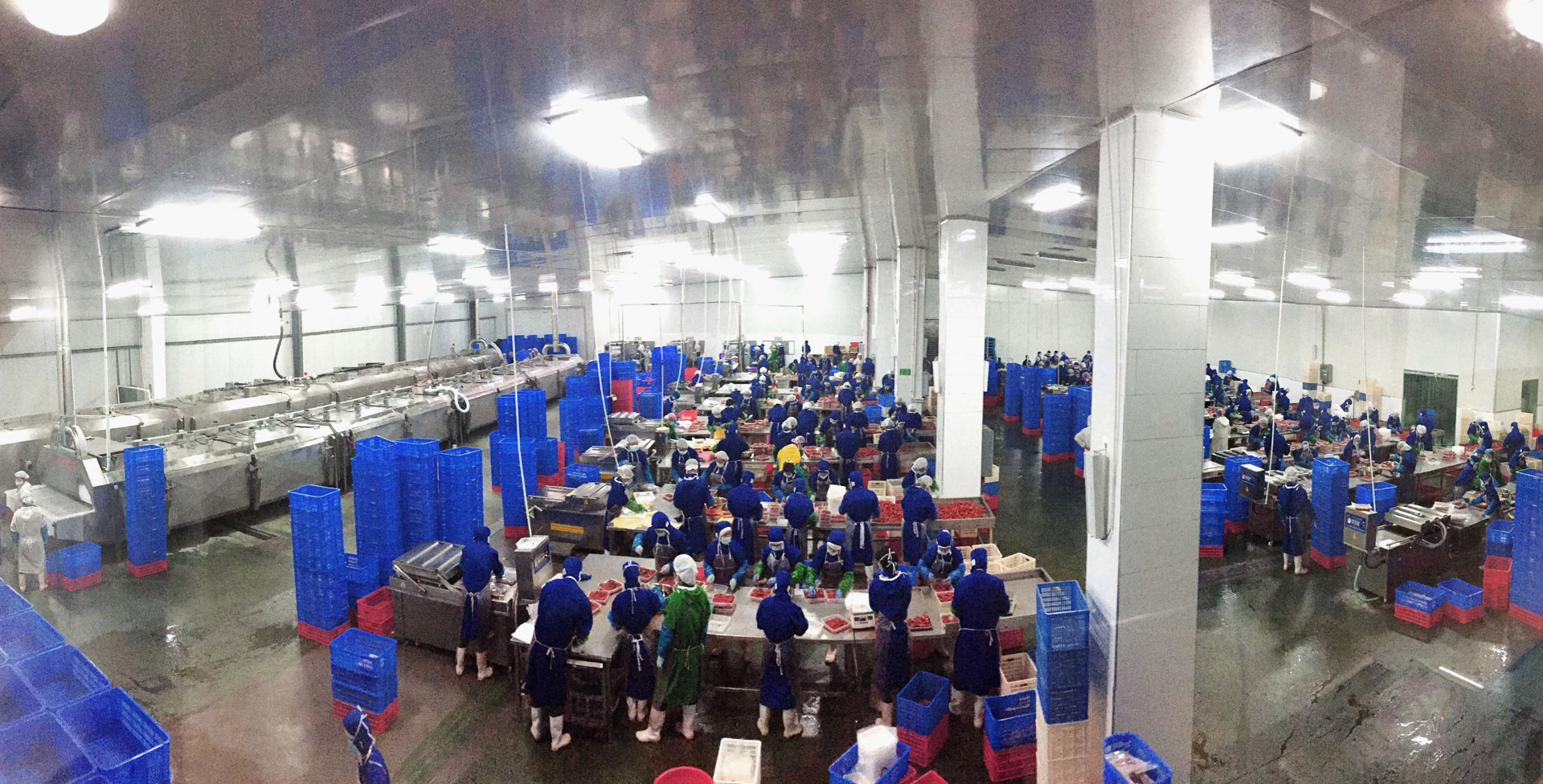 BB贝博betball官网登录