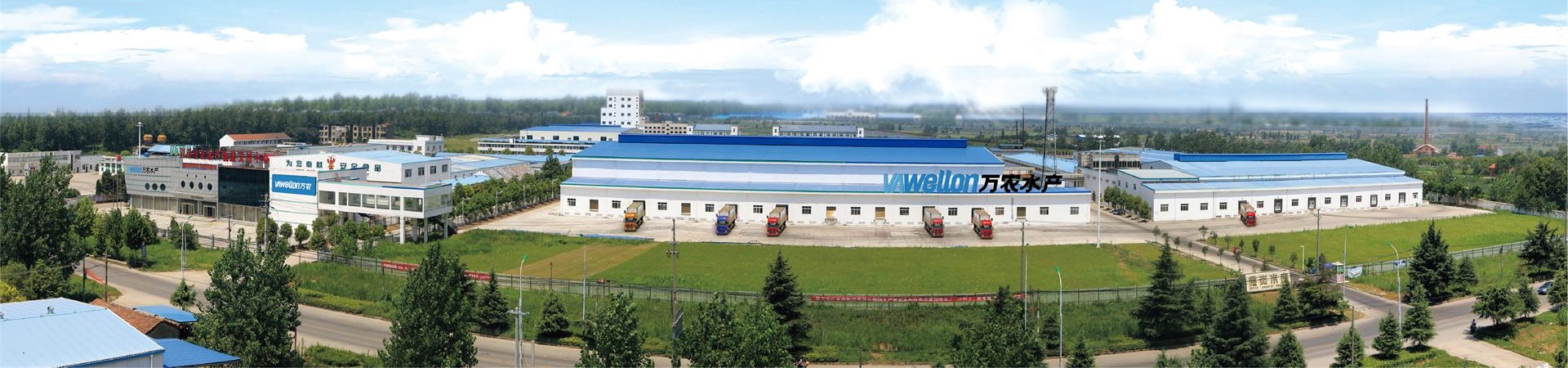 BB贝博betball官网登录