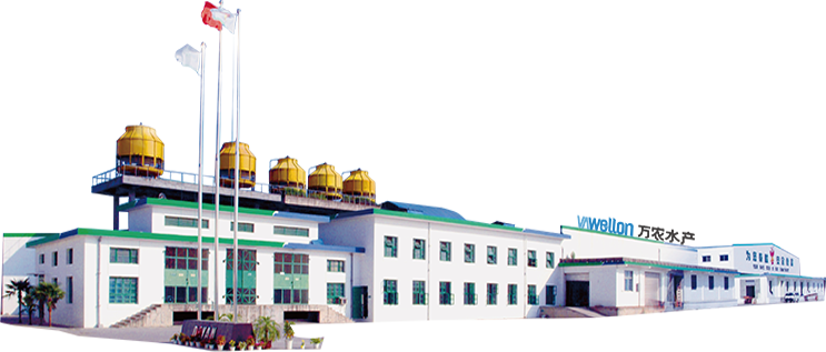 BB贝博betball官网登录